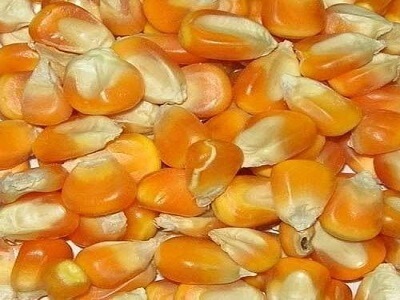 Ürünlerimiz